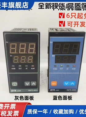 金电XMTE6000/600J/6G31/6G01/5G31/500J带报警智能调节仪干燥机