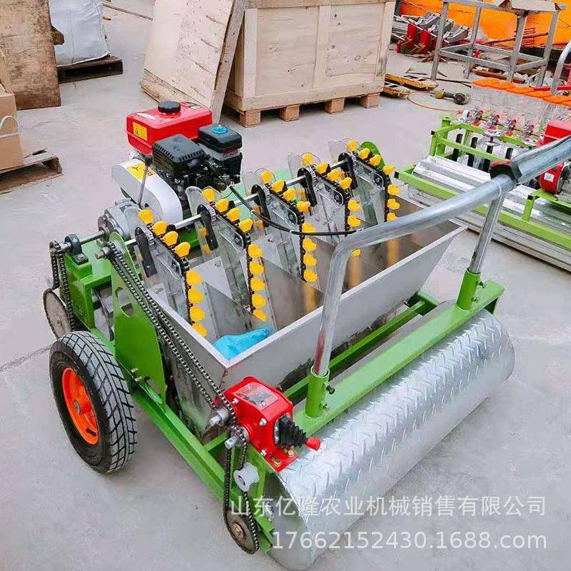 自走式大蒜精量点播机多功能家用种蒜机株距可调大蒜播种机