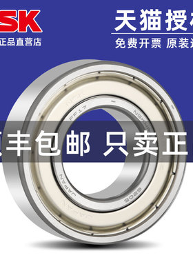进口日本NSK6206 6207 6208 6209 6210 6211 ZZ RS DDU 高速轴承