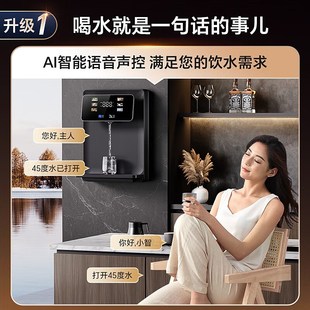 家用净水器即热直饮机2025新款 BORAVIT无水箱管线机饮水机壁挂式