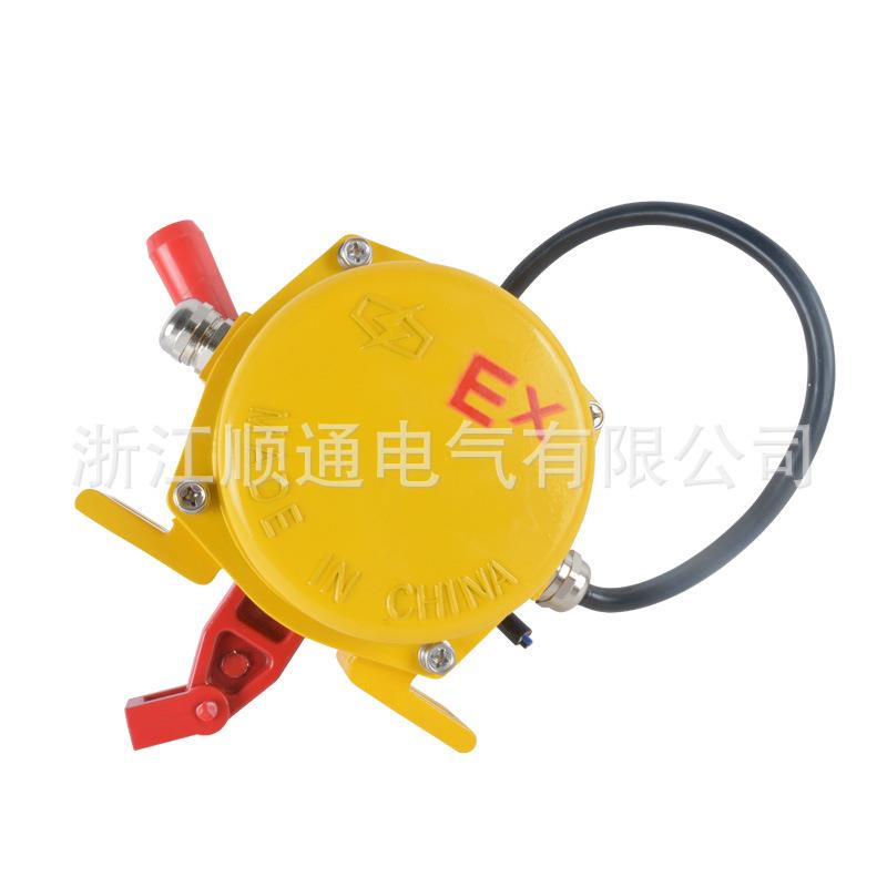 BLT2-I双出线孔BKLT-I防急爆拉绳开关 双向停拉K关绳开手动防爆拉