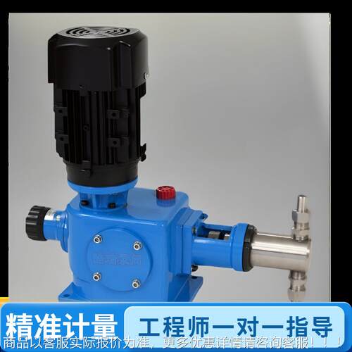 瑞NIJ压可柱塞式计量泵 DDZ-Z 流量调酷加泵  Z-X 不锈钢计量泵