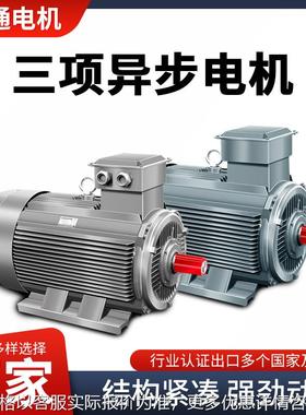 Y系列IP23/YE3/YX3/YD/YVF2/YEJ/ST/ST2系列