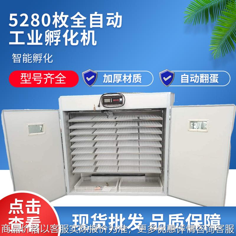 5280全自动孵化机鸡鸭鹅鸽子孵化设备广东汕头澄海狮头鹅蛋孵化机