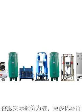300g克臭氧机YT-019-300A脱硝佳环氧气源大型臭氧发生器