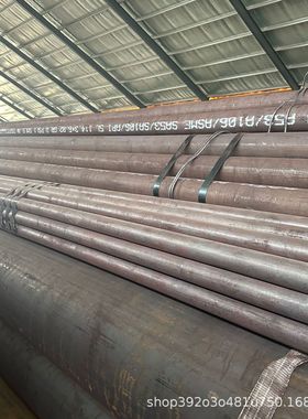 ASMESA335美标合金管ASMESA333低温作业用无缝钢管Q460E低温钢管