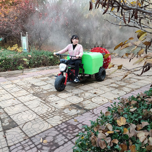 桃树大面积杀虫弥漫机 公共场所消毒灭虫高压弥雾机 果园质保机械