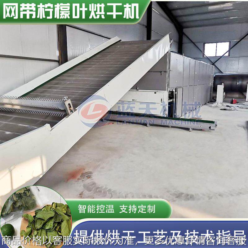 皱皮柠檬叶烘干机 粗皮干柠檬叶毛里橙叶干燥机 网带柠檬叶烘干机