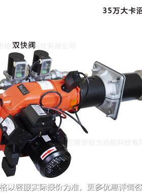 沼气燃烧机30万大卡35万大卡360万大卡焦炉煤气燃烧器BaiLi