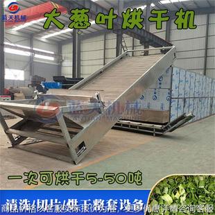履带大葱叶烘干机 连续式大葱叶子圈风干机 大型葱花蔬菜包干燥机