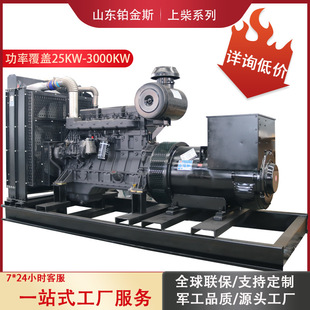 上柴动力柴油发电机组150KW养殖场备用电源低200千瓦上柴发电机