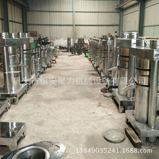 厂家供应出油率高的全自动芝麻液压榨油机 设计合理操作简便