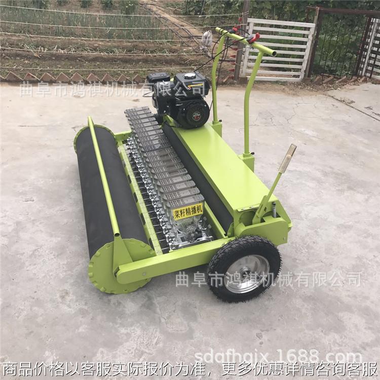 泾县大豆播种机 谷子高粱白菜精播机 K