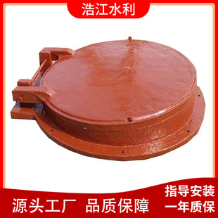 定制铸铁拍门厂家 DN100DN200型号防倒灌闸门加工钢制拍门