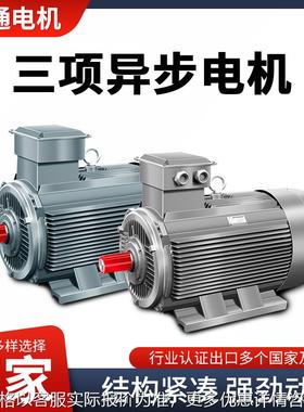 三相异步电动机18.5W 22W 380VThree-phase asynchronous motor
