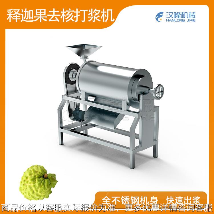 果蔬机械厂家优惠促销释迦果桑葚杨梅枇杷猕猴桃去核水果打浆机