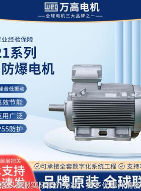 W21LX防爆电机IE3 0.55/315W机械高压设备电机铸铁粉尘隔爆电机