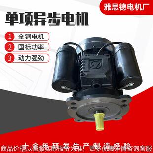 YL100L14 220V 2.2W 单相电动机 1400转电机 4级 单相电机立卧式