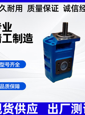 CBG3160高压齿轮泵CMG/JHP/CBGJ渔船专用泵3125/3140/3180/3200