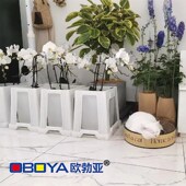 欧勃亚拍市桶醒桶鲜桶养桶塑料桶法式 摆摊深水桶储水桶