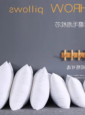 Throw Pillows Sofa Couch Cushion Decorative Pillow insert枕