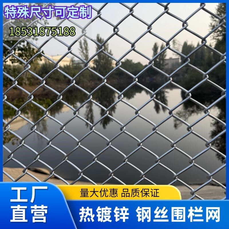 热镀锌加粗小铁丝围栏网养殖防护隔离网勾网护栏网菱形网格网