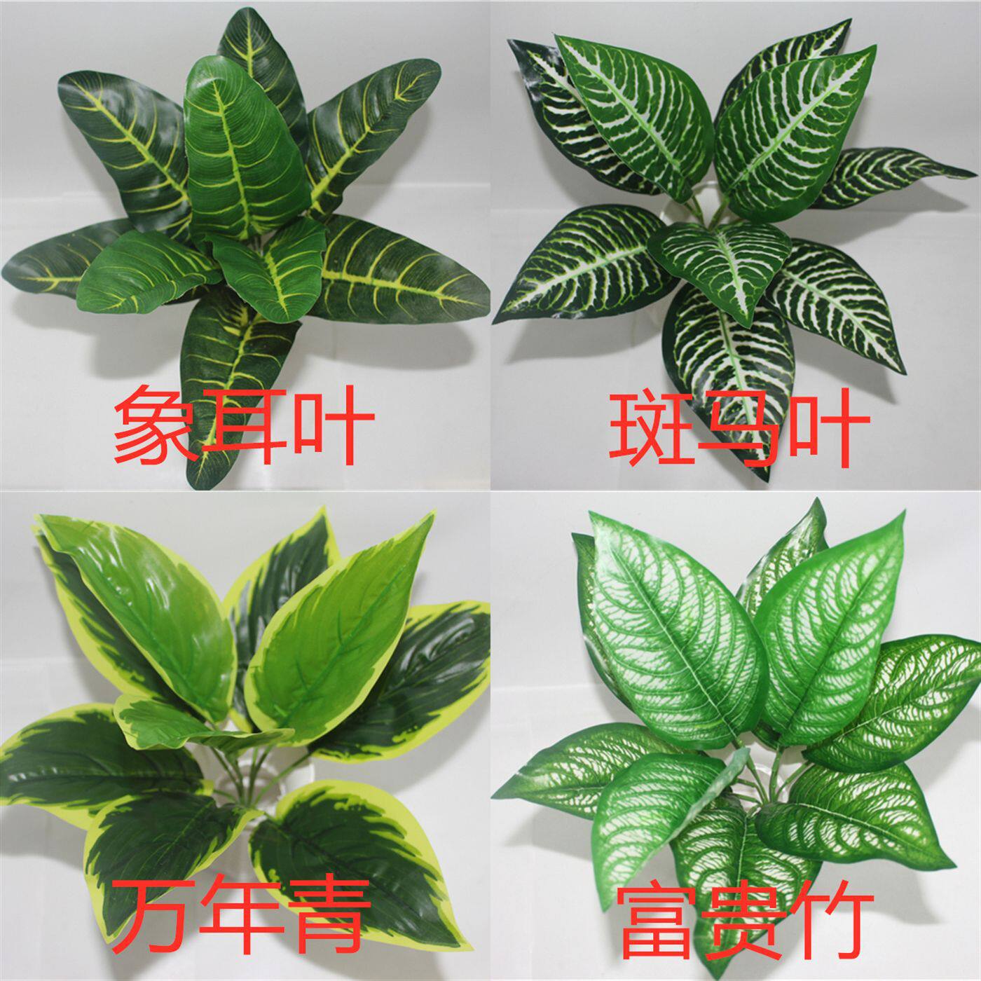 9头万年青象耳班马叶富贵竹 仿真绿色植物水草盆栽假绢花摄影装饰