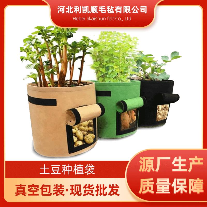 番薯土豆种植袋growbag植物美植