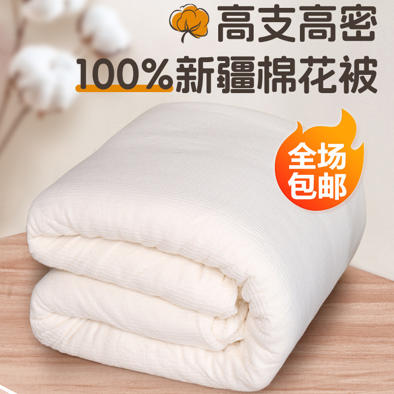 鱼鳞新疆棉花被春秋夏凉被套空调