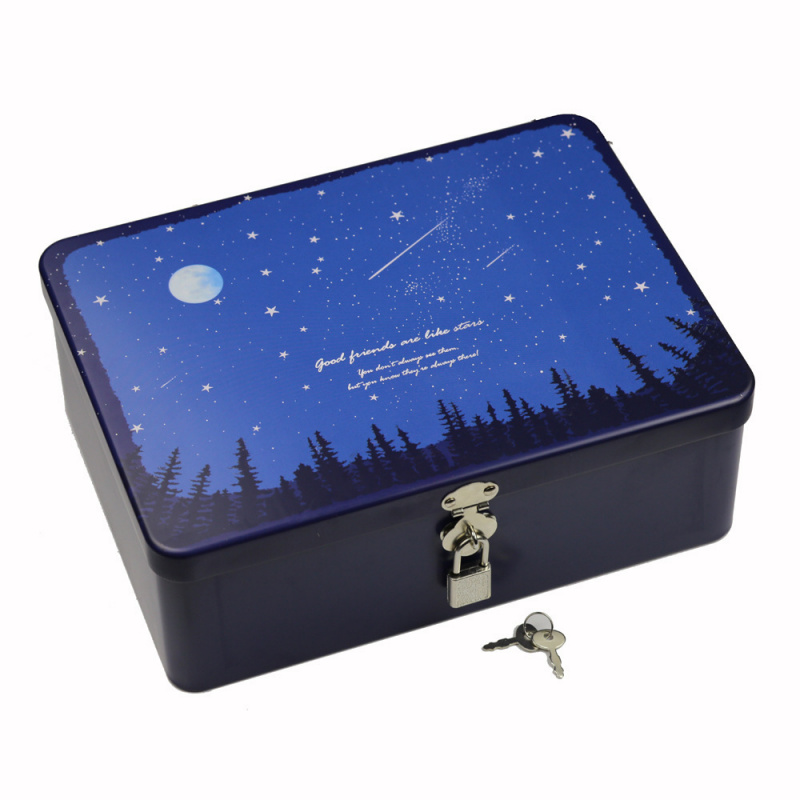 中号马口铁盒长方形金属带锁创意