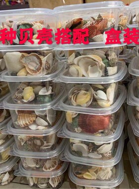 天然贝壳海螺海星鱼缸造景装饰摆