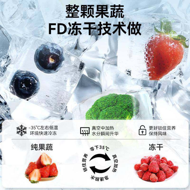 果蔬冻干设备低燥温式 10平DPC米水果冻干机 干卧式真冷空冻机厂