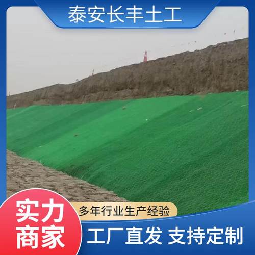 3D固网垫生产厂家 筋三维加加固土网垫GNX生产厂植家 加筋土格宾