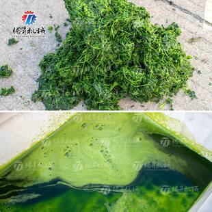 新款工用大姜榨 汁机 全自动业果TS-GZ110蔬碎榨汁破机商用果汁榨