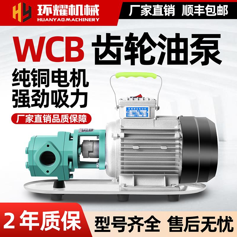 大流量高粘度自吸电动抽油泵机油柴油液压油不锈钢齿轮泵220V380V