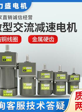 6W15W25W40W60W120W180W200W250W300W400W齿轮调定减速变频电机