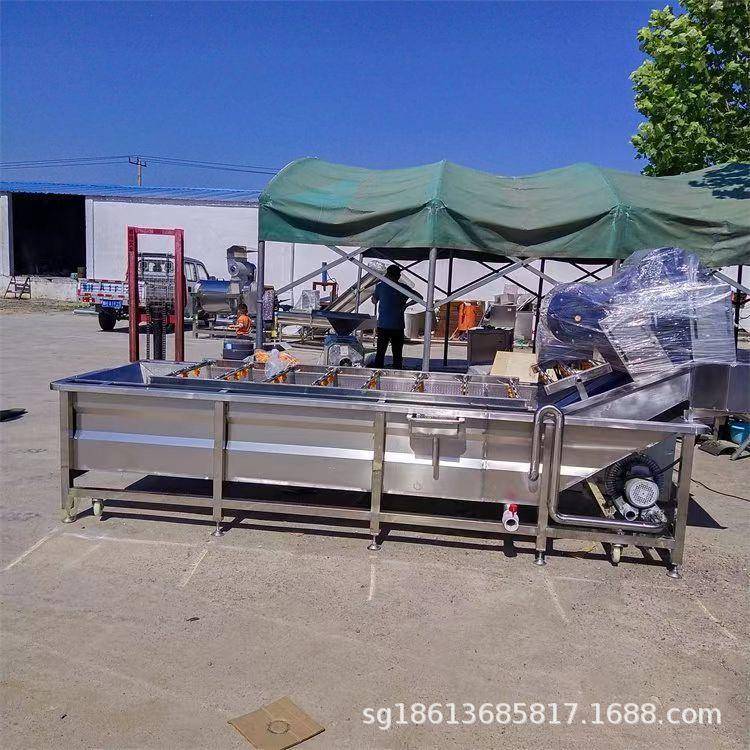 大型翻浪式洗菜机 全自动柑橘洗果机 全不锈钢水果蔬菜清洗设备