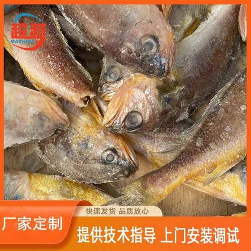 厂家低温冷冻设备流态化速冻机水饺速冻机冷冻薯条机速冻机促销