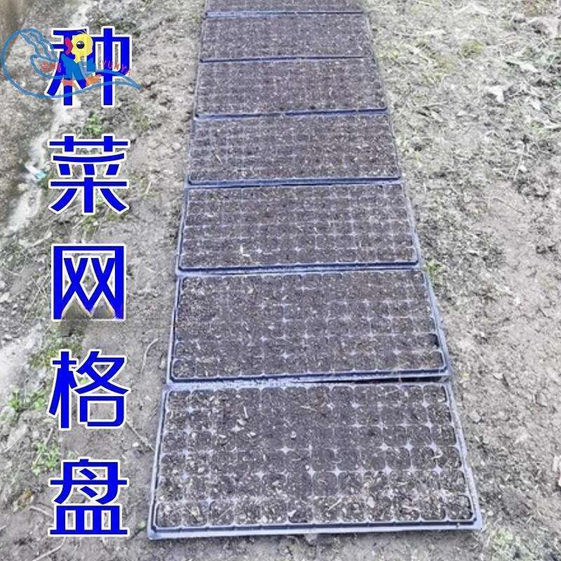 种菜盘漂浮工具网格营养盘播种压穴板育苗生菜播种穴盘压孔器泡沫