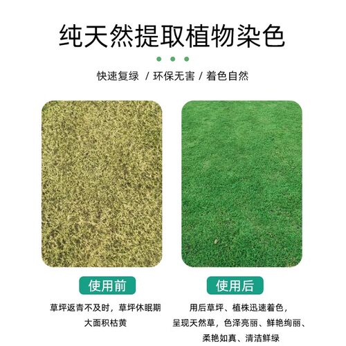 草坪增绿剂染色剂枯草染绿剂园林快速着色剂验收喷绿