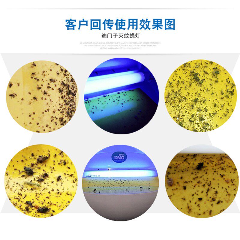 迪门子粘捕式灭蝇灯饭店吸蚊吸蝇灯电子捕除苍蝇 送灯管