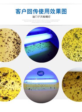 迪门子粘捕式灭蝇灯饭店吸蚊吸蝇灯电子捕除苍蝇 送灯管