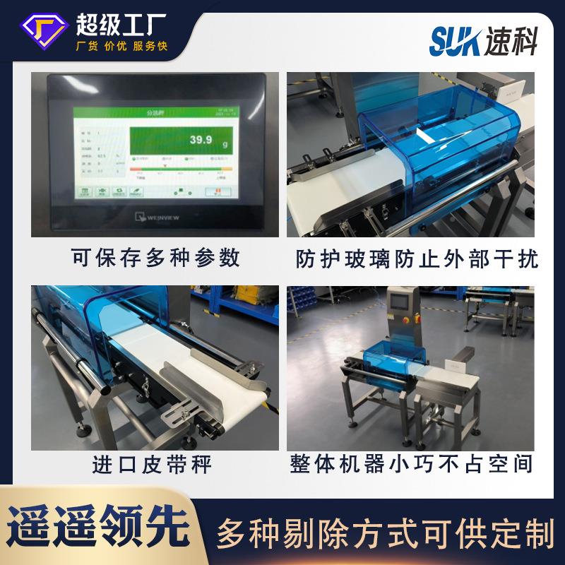 工厂定制高精度自动称机带皮称  食品包装在线检重秤SLV动重态分