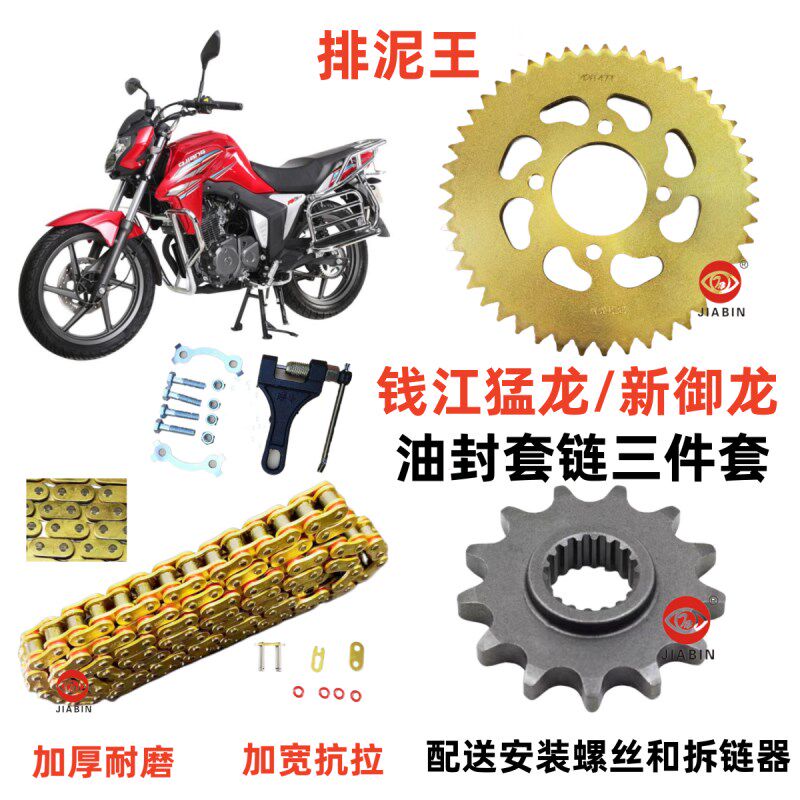 钱江猛龙新御龙摩车油封链链条链盘