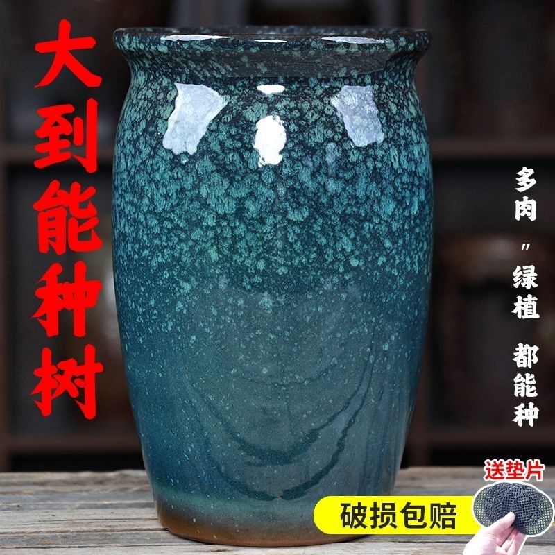 角梅飘盆特大号筒陶瓷盆景九尾狐老桩悬崖桩庭院