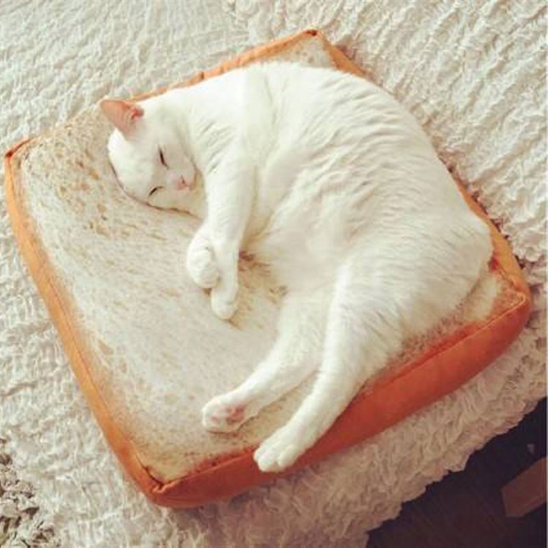 仿真面包坐垫靠垫切片吐司抱枕毛绒猫咪面包型坐垫子
