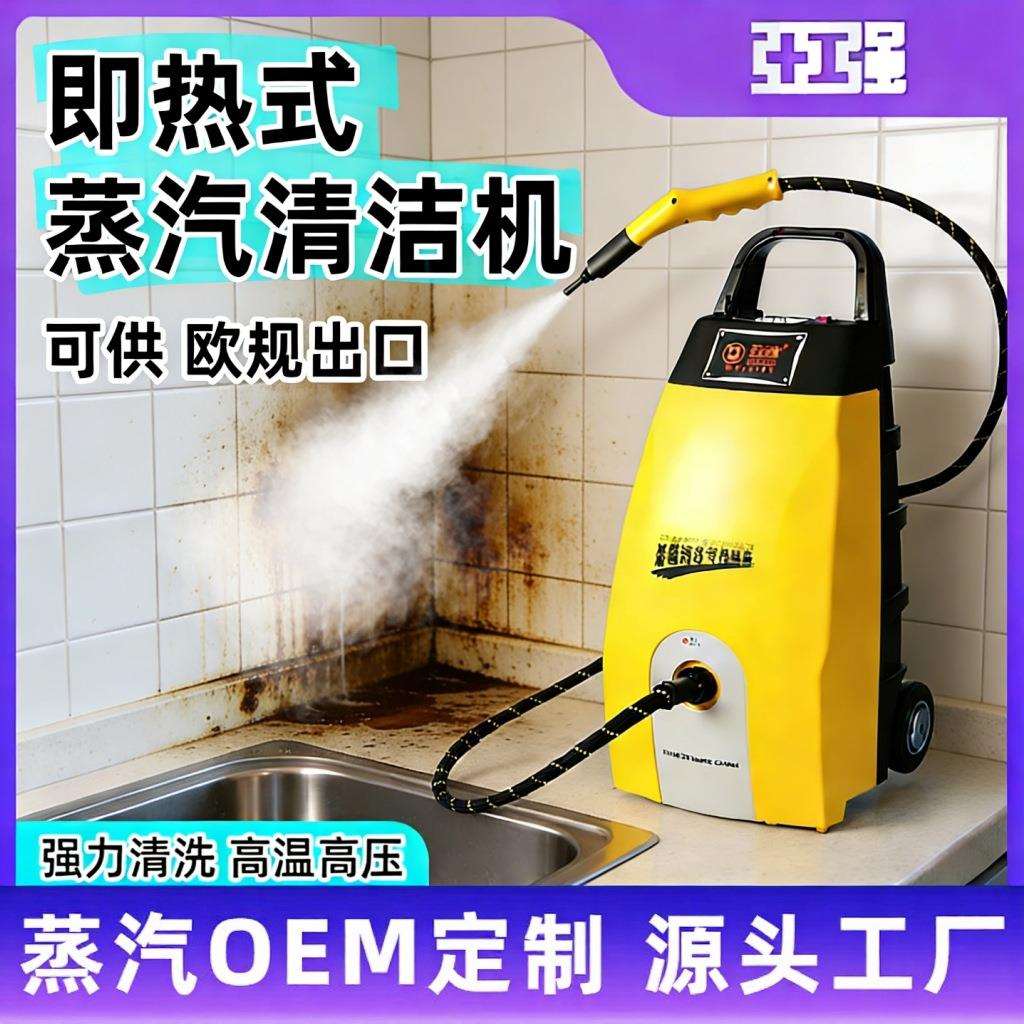 蒸汽清洗机多功能厨房油污高温清洗地毯沙发床垫除菌清洁机蒸气