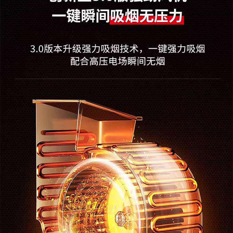 无烟净化烧烤车高端水电复合无烟净化车烧烤净化器平吸环保免清洗