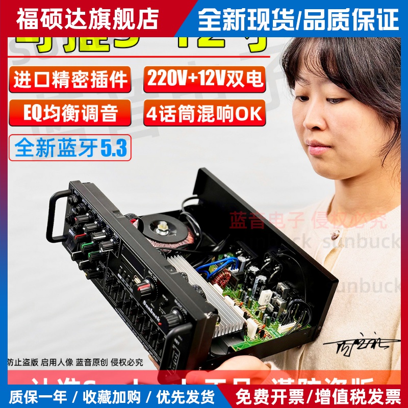 大功率家用功放蓝牙5.3震撼效果K歌EQ均衡器调音12V广场车载户外