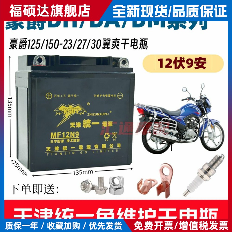 适用豪爵DH/DM翼爽125/150机车免维护电池12V9A擎豹统一干电瓶